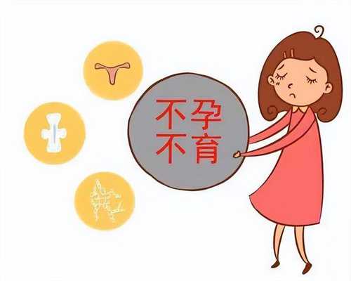 广州2024年供卵试管婴儿成功率高吗