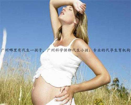 广州哪里有代生一孩子，广州科学供卵代生小孩：专业的代孕生育机构
