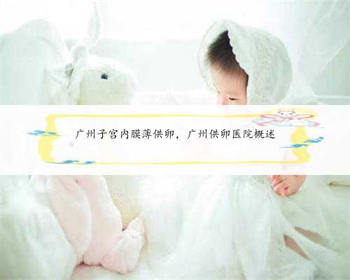 广州子宫内膜薄供卵，广州供卵医院概述