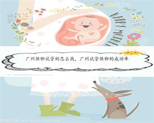 广州供卵试管的怎么找，广州试管供卵的成功率