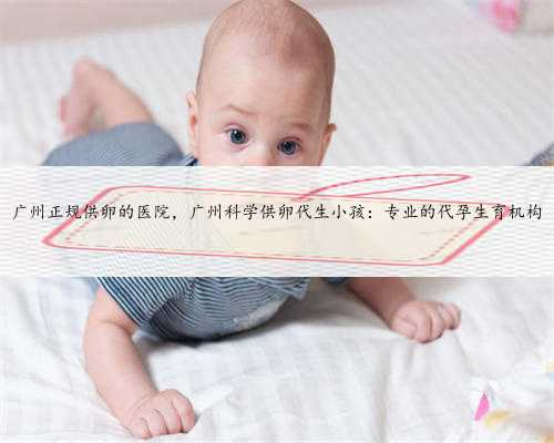 <b>广州正规供卵的医院，广州科学供卵代生小孩：专业的代孕生育机构</b>