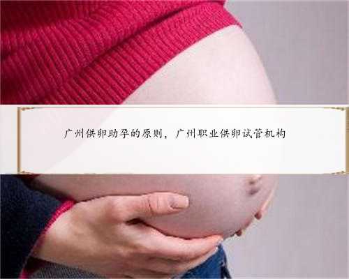 广州供卵助孕的原则，广州职业供卵试管