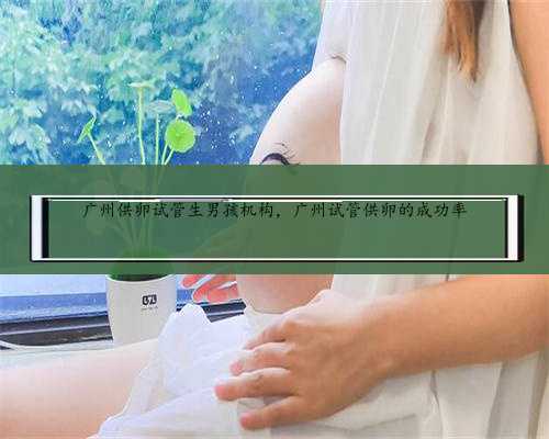 广州供卵试管生男孩机构，广州试管供卵的成功率