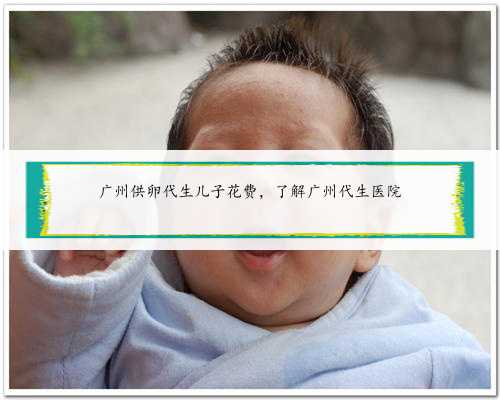 广州供卵代生儿子花费，了解广州代生医院