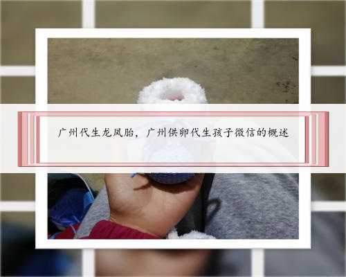 <b>广州代生龙凤胎，广州供卵代生孩子微信的概述</b>