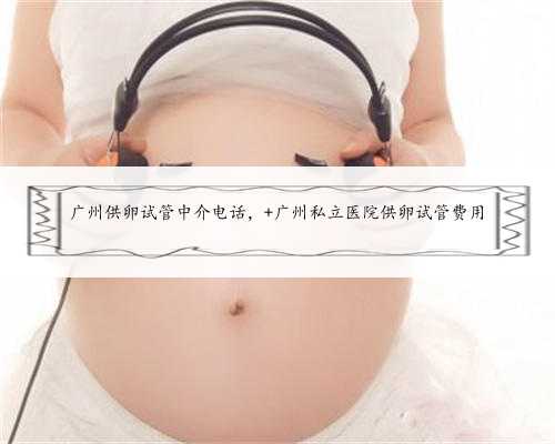 广州供卵试管中介电话， 广州私立医院供卵试管费用