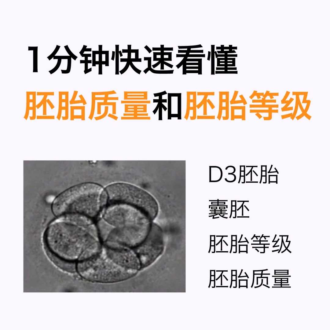 供卵包男孩费用,济南不孕不育医院排名前十名,附详细机构信息