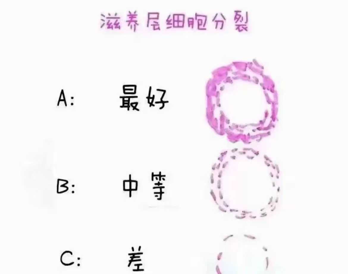 国内代怀公司官网_正规代孕地址,amh值低怀孕后容易流产吗？amh低怀孕了是不是