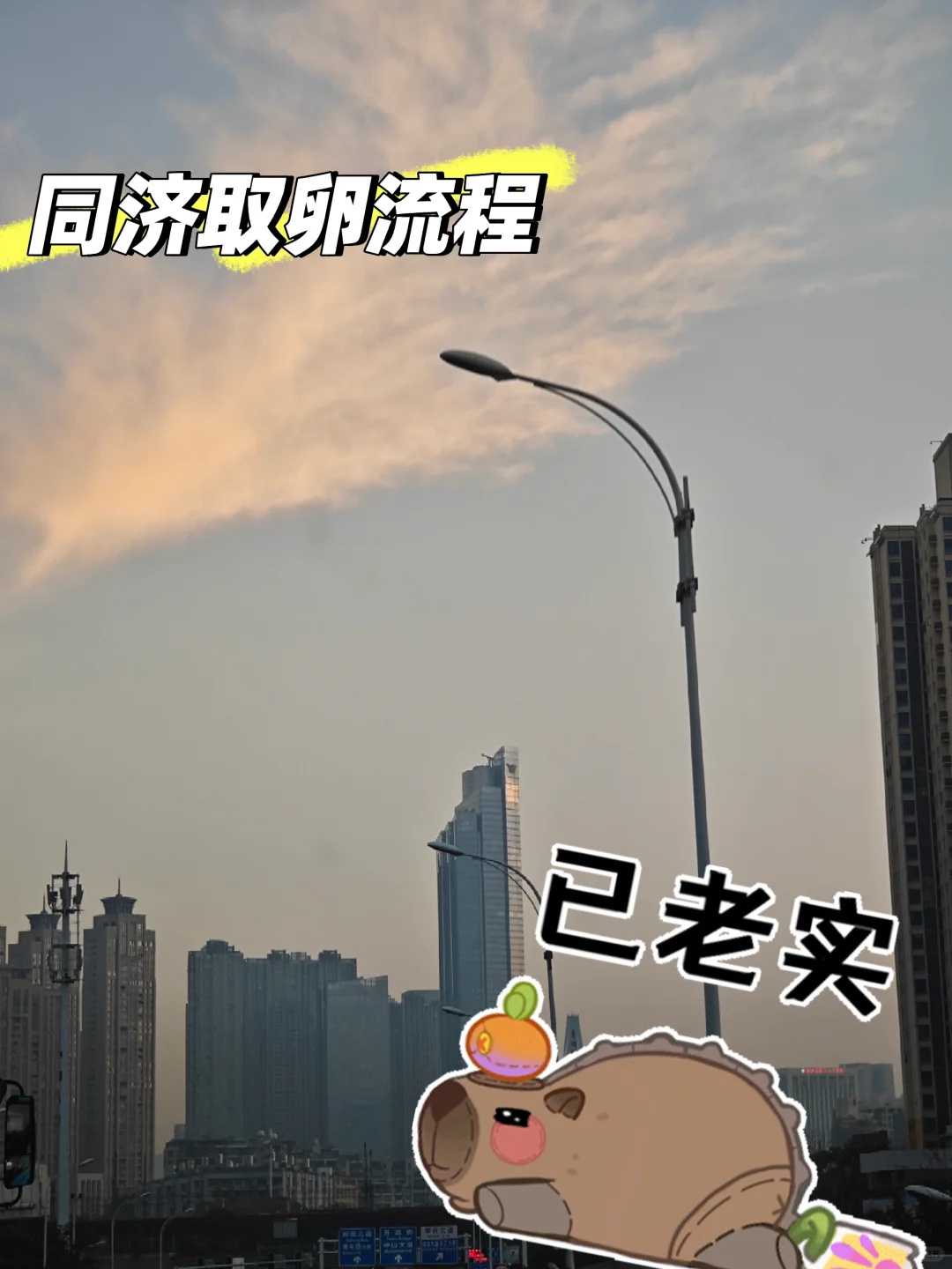 国内供精医院_代孕费用及明细,试管婴儿移植术后多久着床?试管婴儿移植术后