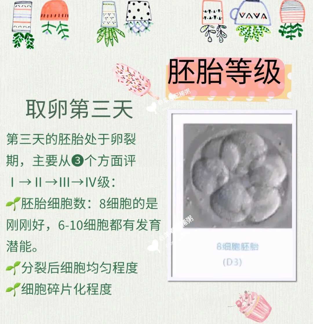 该如何选择试管生儿子,单身女性精子库申请精子条件 美国精子库申请精子流程