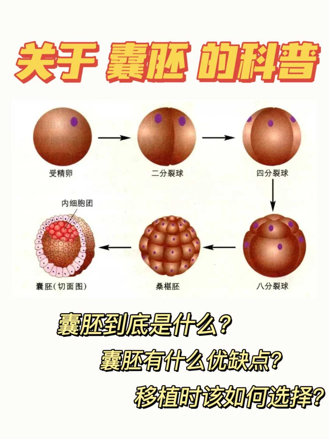 65万助孕包成功_包成功多少钱,备孕的女性被别人梦见怀孕自己会真的怀孕吗
