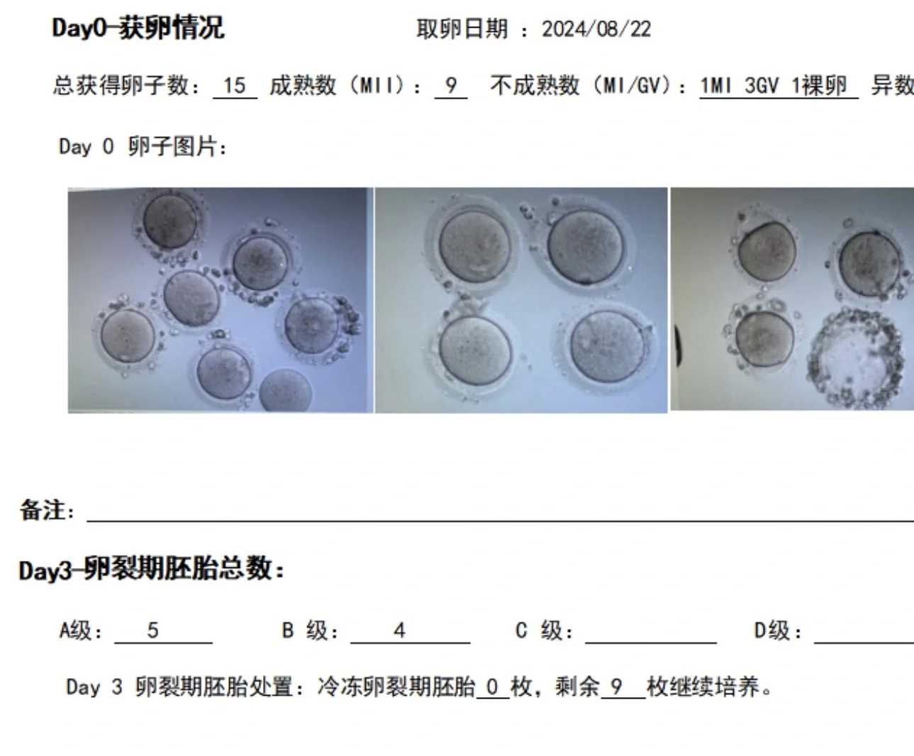 生男孩_广州第三代生子机构,广州能做第三代试管婴儿医院排名哪家好