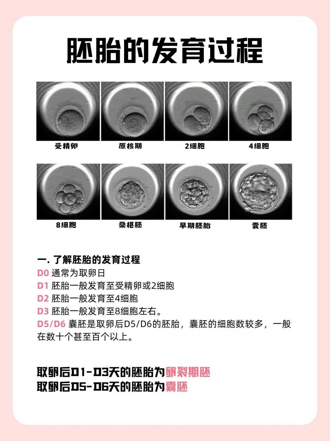 广州试管供卵多少钱一个,中山三院人工授精:广州中山三医院人工授精需要多