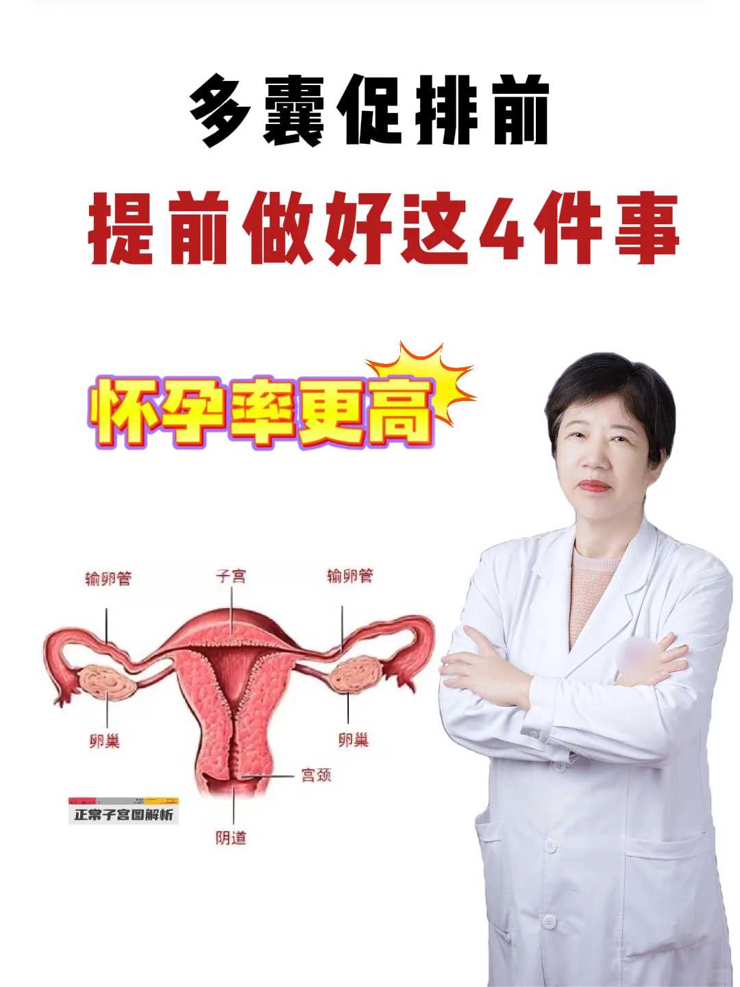 广州哪里试管代生最好，广州正规试管代生价格