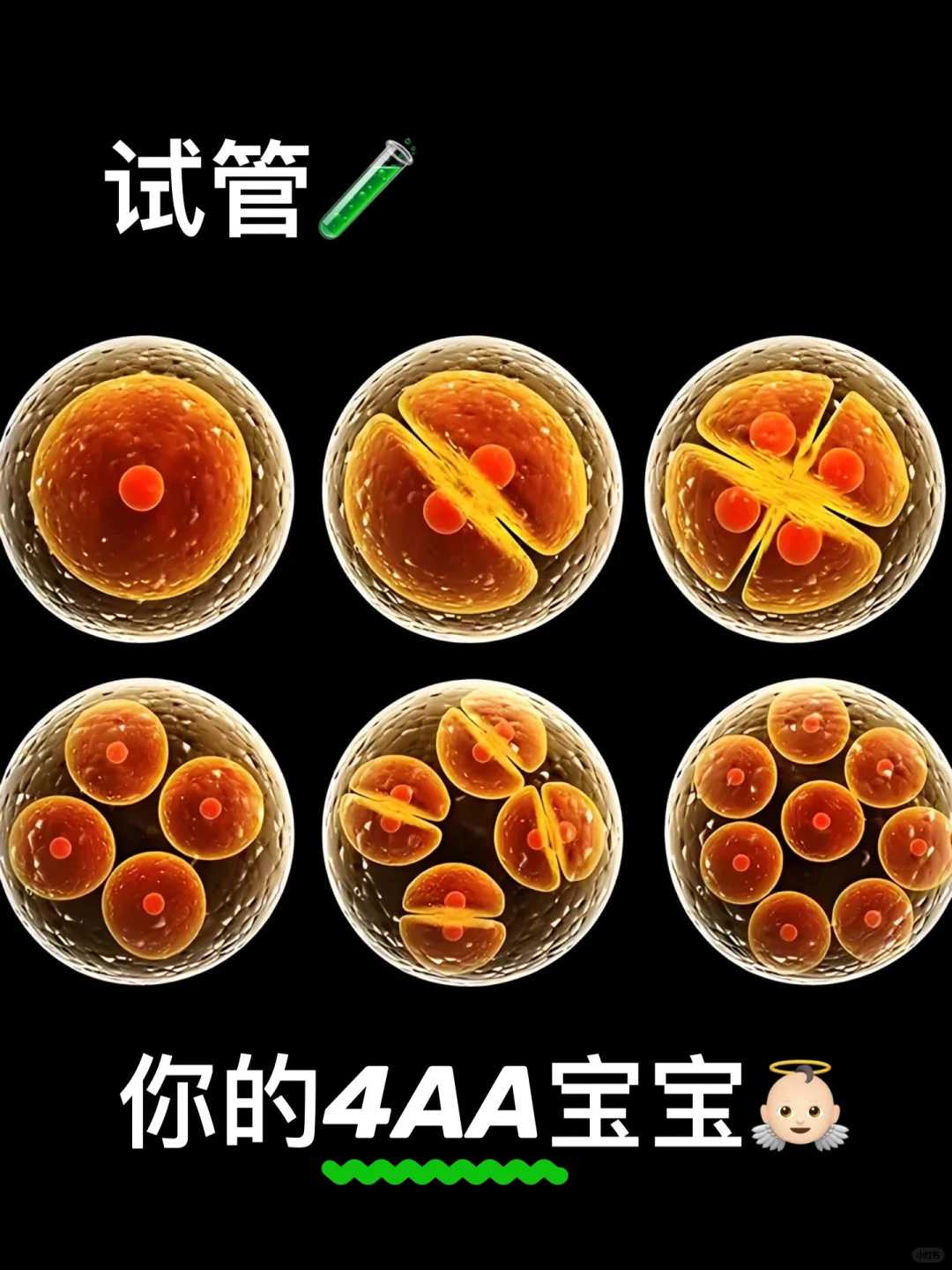 2024年在长春私人机构做供卵试管的费用是多少？