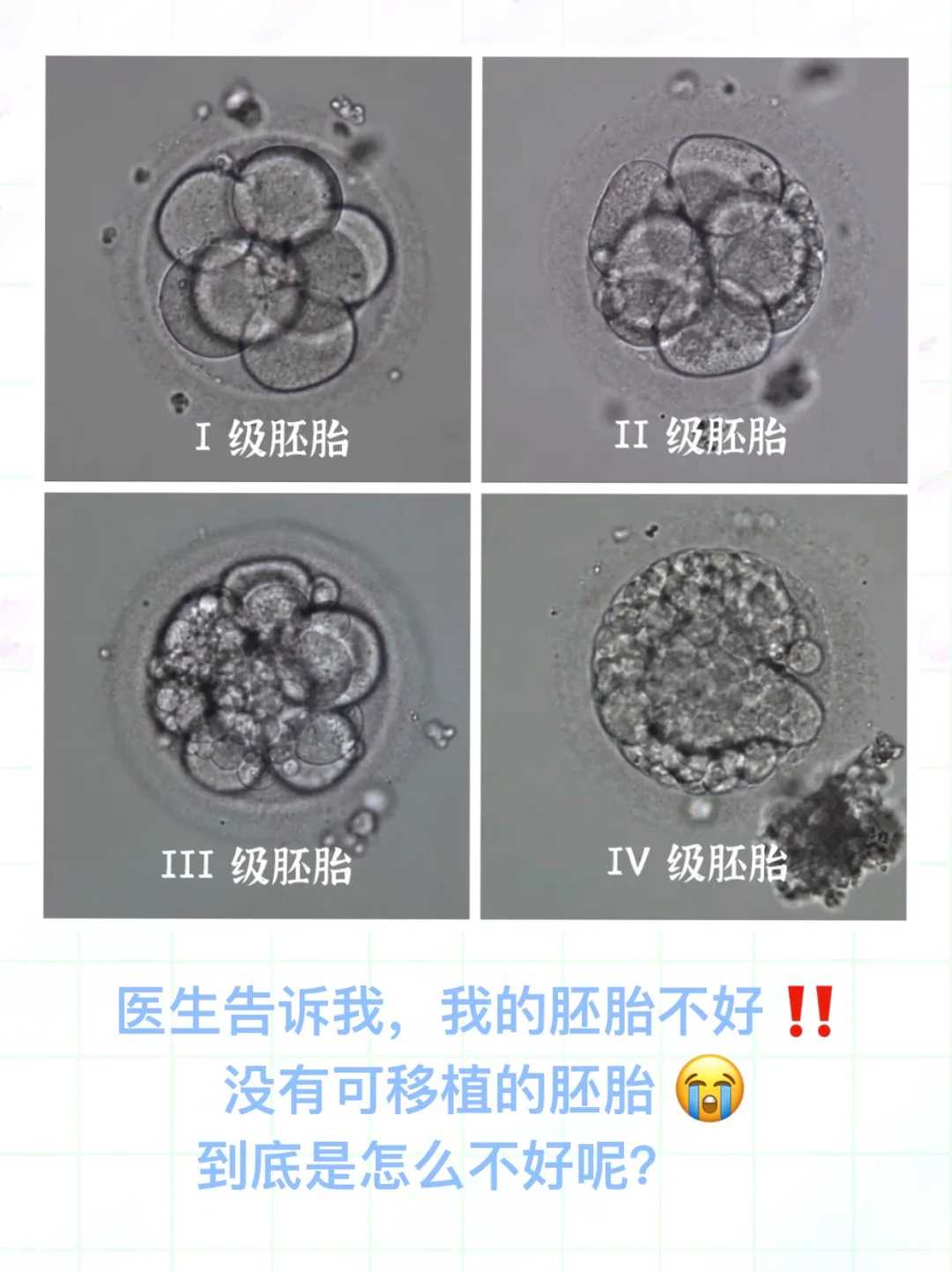 供卵中国合法么,中国单身可以做试管吗