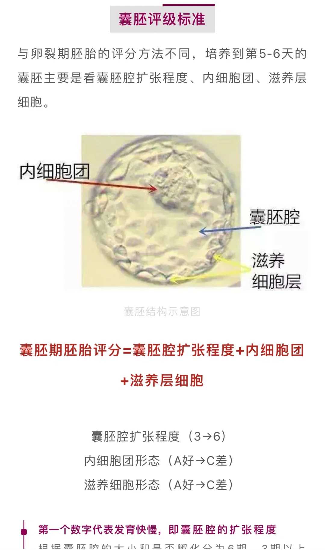 中山附属第一医院三代试管婴儿费用是多少