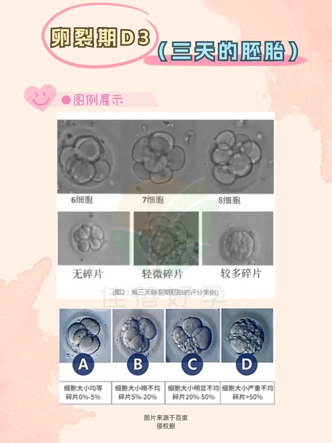 广州供卵试管好吗_助孕包性别中心,广州供精人工授精的流程是怎样的
						