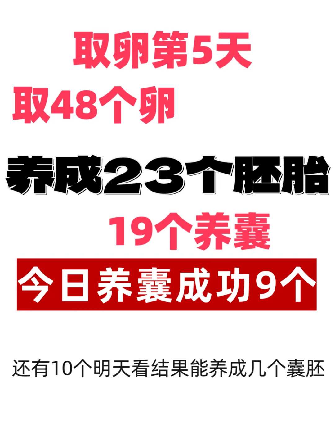 专业代孕成功率,13个基础卵泡促排5天后取卵数量真不少，多数还会增加