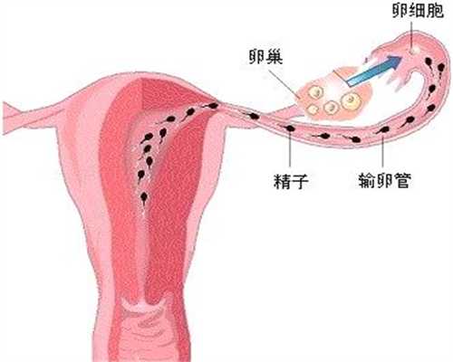 代孕期总是眩晕，对代孕胎儿有影响吗？这些常