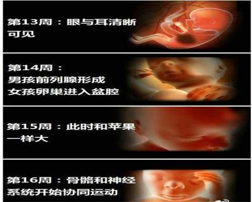 广州专业代孕机构梦就是你现实中潜在的欲望