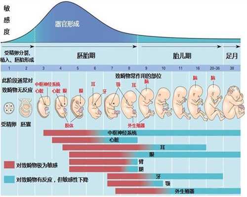 广州专业代孕4个技巧让你更快代怀孕技巧，速看