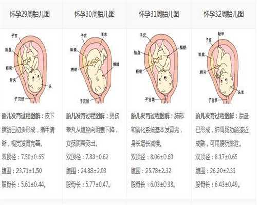 广州代孕机构代孕妇代怀孕初期感冒会出现哪些