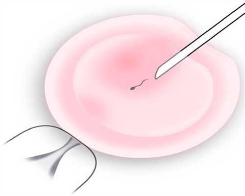 广州专业代孕机构代孕初期吃什么好代孕妇代孕