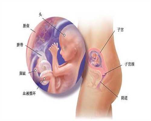 找广州代孕母亲,子宫养得好，女人才有好气血！