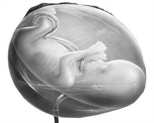 子宫小怎么怀孕,这影响月经，怀孕让胚胎难以着