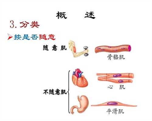 中国广州代孕群,妇科炎症会传染吗