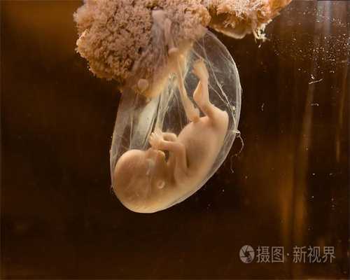 广州代孕一孩子,哪些食物适合孕妇补钙