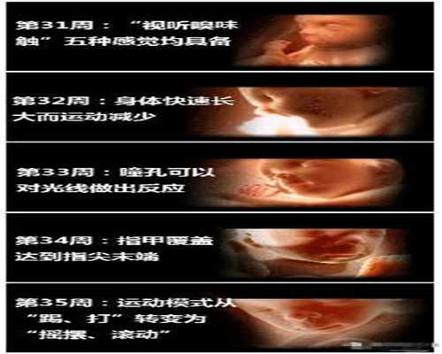 泰国广州代孕怎么样,一胎是剖腹产第二胎还能剖