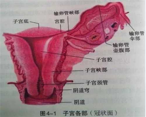 广州代孕中介靠谱吗,无腿女人做试管产下双胞胎