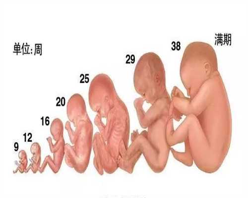 海外广州代孕,求广州代孕女生,疫情前的坚守怀孕