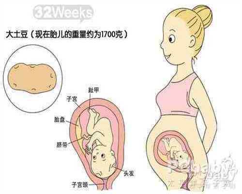 广州代孕证件,急性输卵管炎该如何做好应急处理