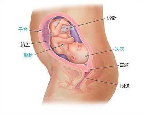 温州代孕产子：孕中期孕检怎么安排 孕中期产检