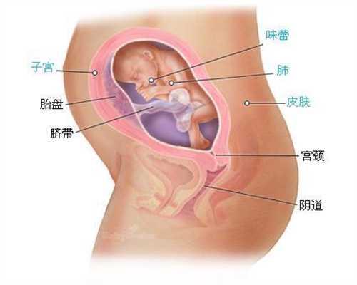 温州代孕产子：孕中期孕检怎么安排 孕中期产检