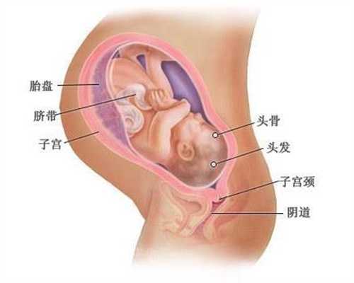 深圳找个女人代孕多少钱,胎心过快是怎么引起的