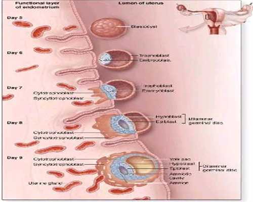 成都代孕中介：南昌女性输卵管检查项目有哪些