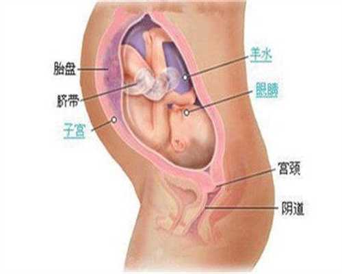泰国代孕产子价格是多少,肝癌的早期症状和前兆
