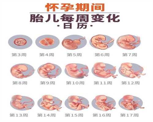 上海世纪代代孕可靠,月经反复推后量少，如果排