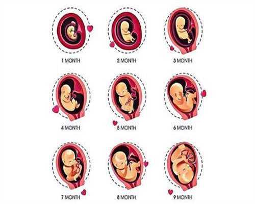 重庆供卵重庆代代孕,代孕前三个月代孕的身体变