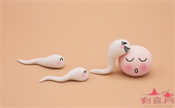 衡阳卵巢早衰试管代怀孕多少钱,3个坏习惯 竟是