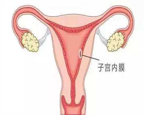 广州代孕-广州寻代代孕妈妈-广州价格代孕多少钱