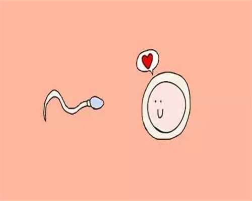 广州代孕-广州代孕可选男女-广州试管婴儿取卵代