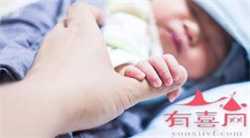 广州试管移植跟取卵怎么收费,广州试管代孕婴儿