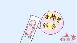 广州世纪助代代孕包性别~广州试管代孕婴儿代孕