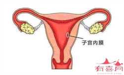 广州找代代孕需要多少钱,广州借腹生子抚养权归