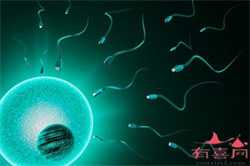 全国代孕生子网站_香港福臣代孕-怎么测自己有没